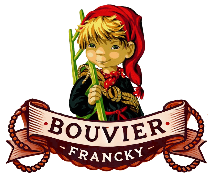 SERVICE RAMONAGE MAISON BOUVIER